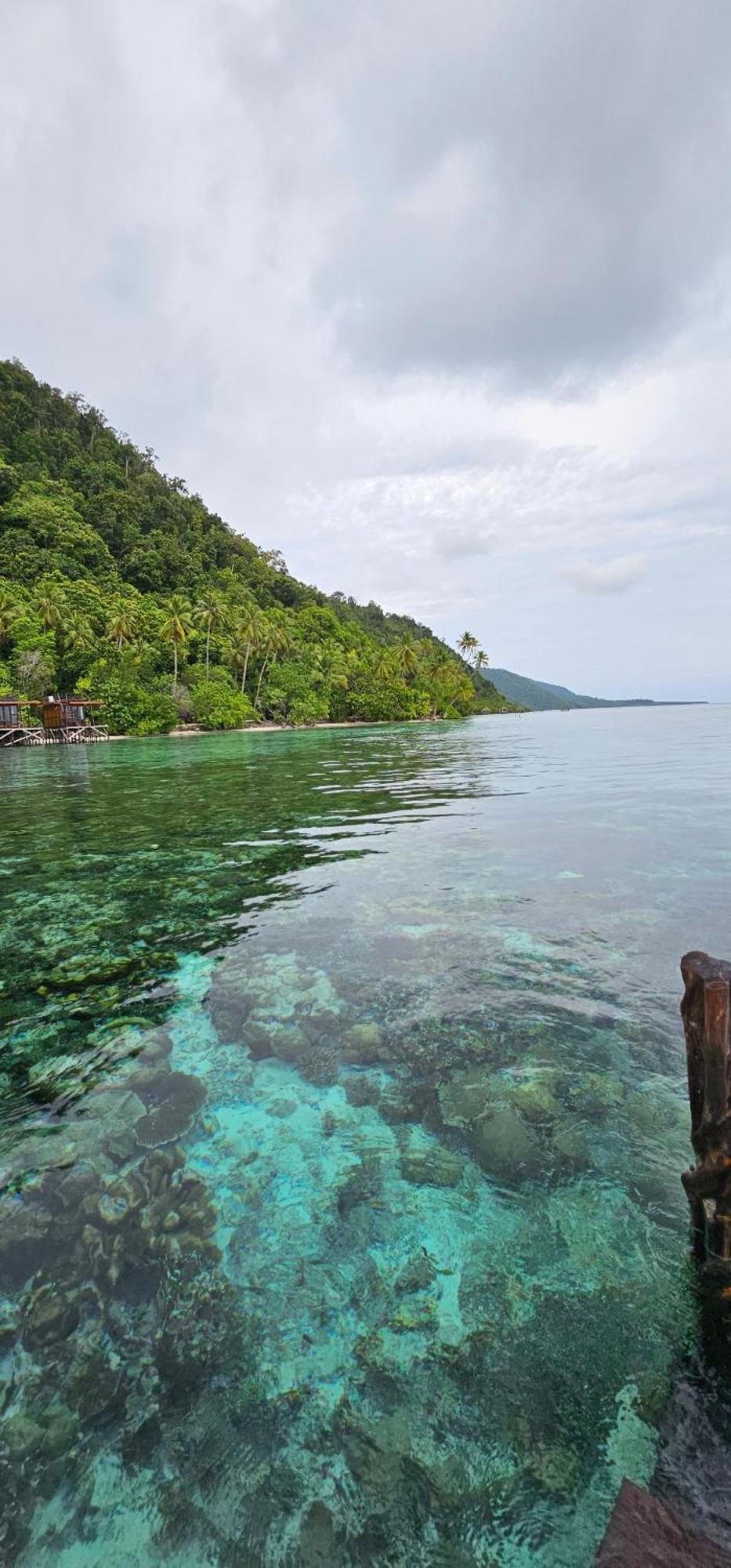 Terimakasih Homestay Pulau Mansuar Exterior foto